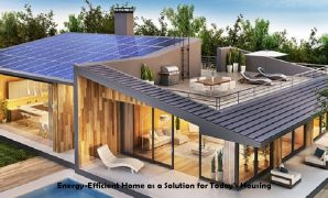 Energy-Efficient Home as a Solution for Today's Housing Energy-Efficient Home as a Solution for Today's Housing